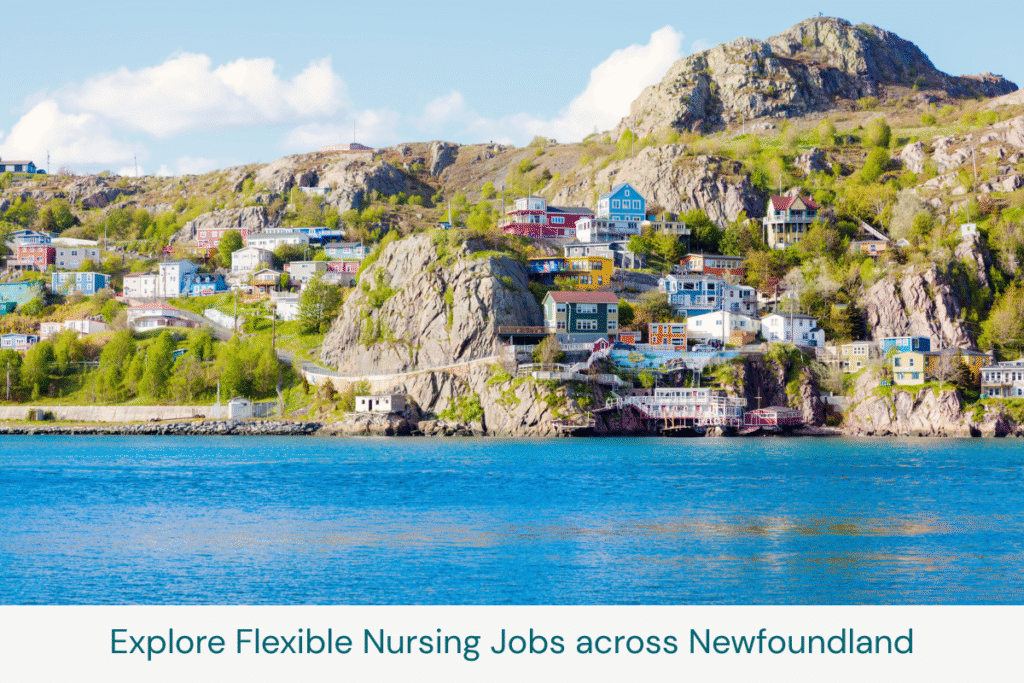 Colorful coastal houses along the cliffs of St. John’s, Newfoundland, viewed from the water on a sunny day